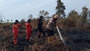 43 Titik Panas Terdeteksi, Kebakaran Lahan Gambut di Sukarjo Mesim Masih Dalam Penanganan