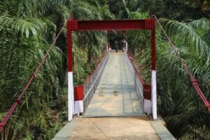 Gotong Royong TNI dan Warga, Jembatan Perintis 57 Meter di Labusel Kembali Difungsikan