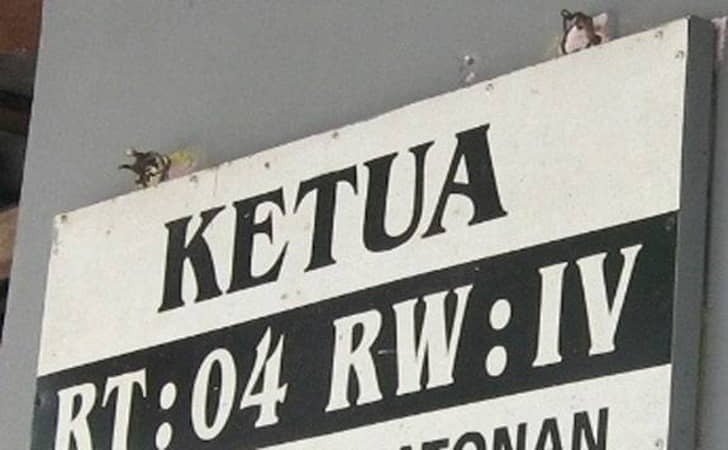 Camat Sangkarrang Akui Pembiaran Praktik Pinjam Nama RW